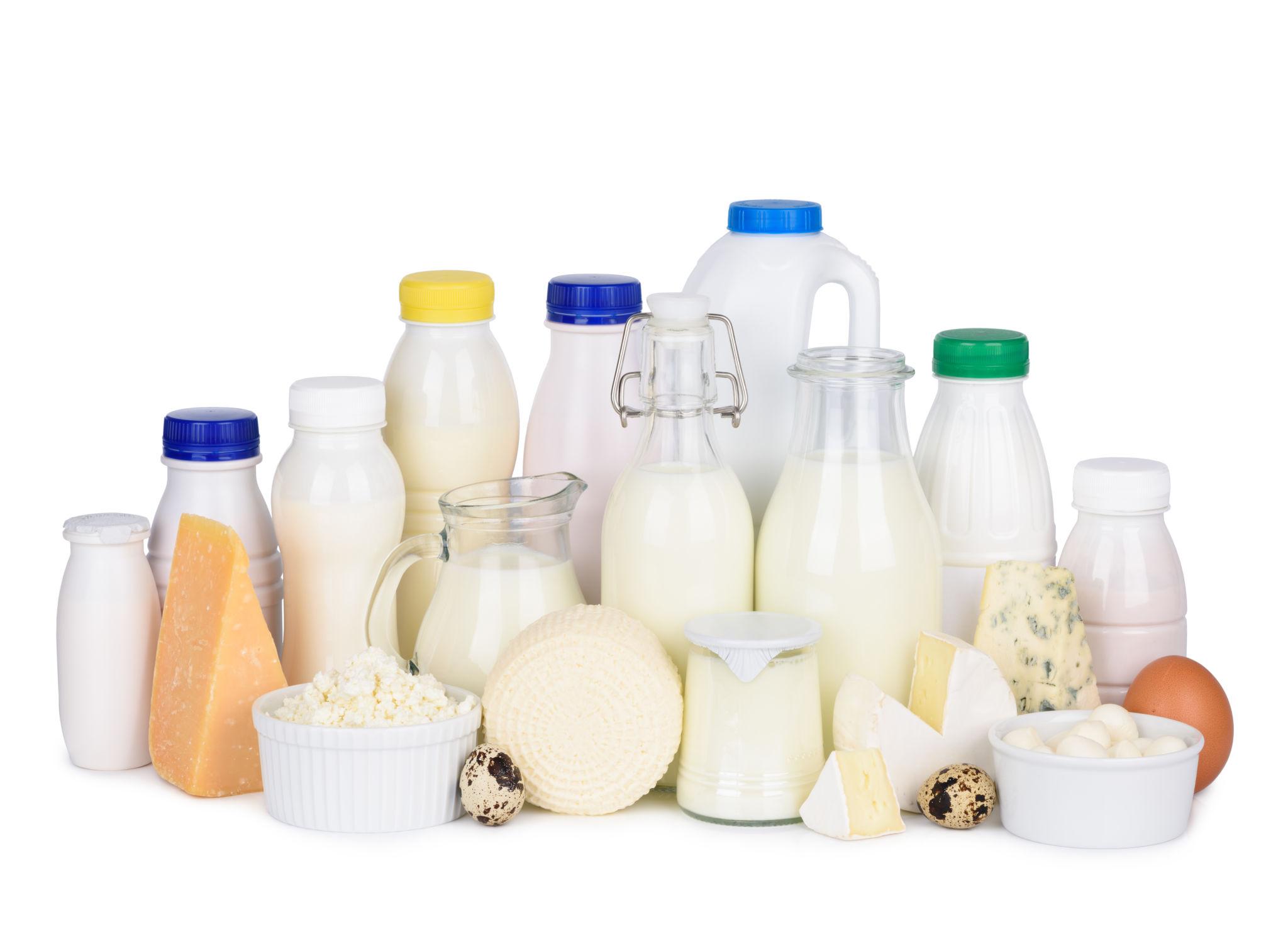 Dairy
